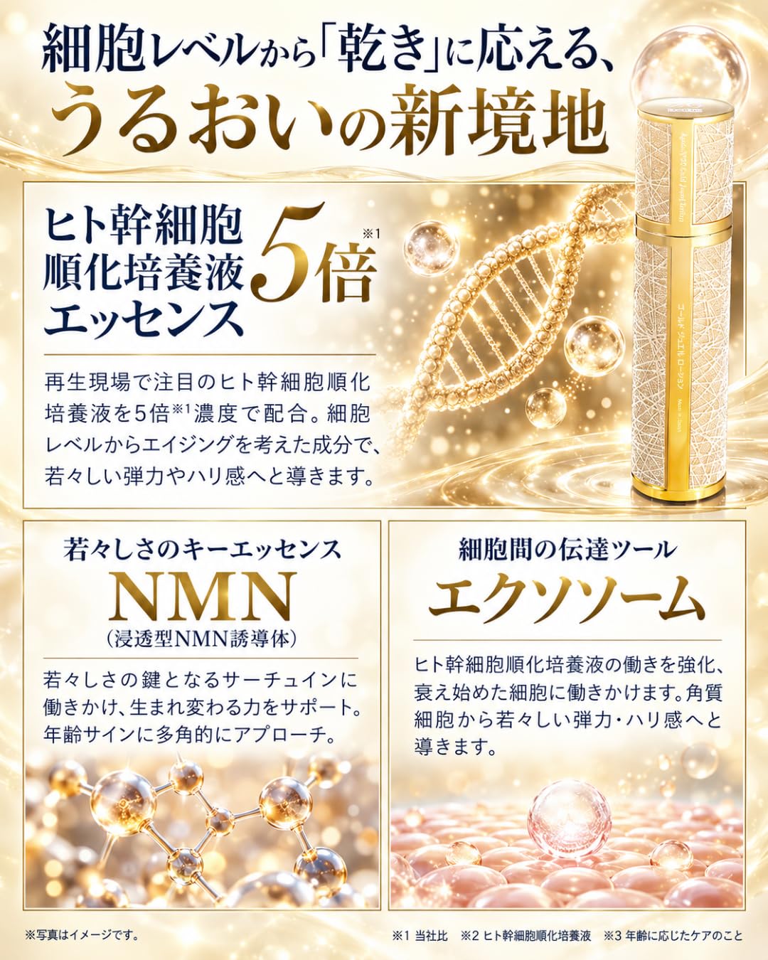 Amazon | 日本メディカルシステム アゲインナンバー20 ゴールド